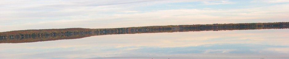 ShimmeryPineLake_940x192